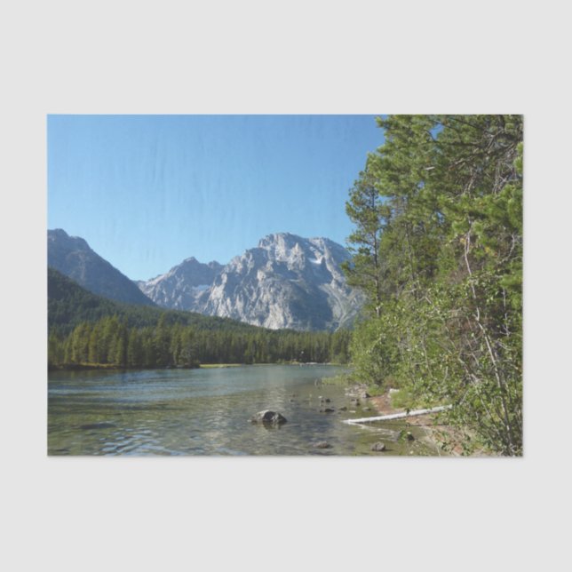 Papel De Seda Lago Leigh no Parque Nacional Grand Teton (Frente )