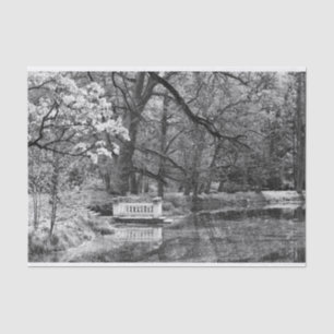 Papel De Seda Lago Romático