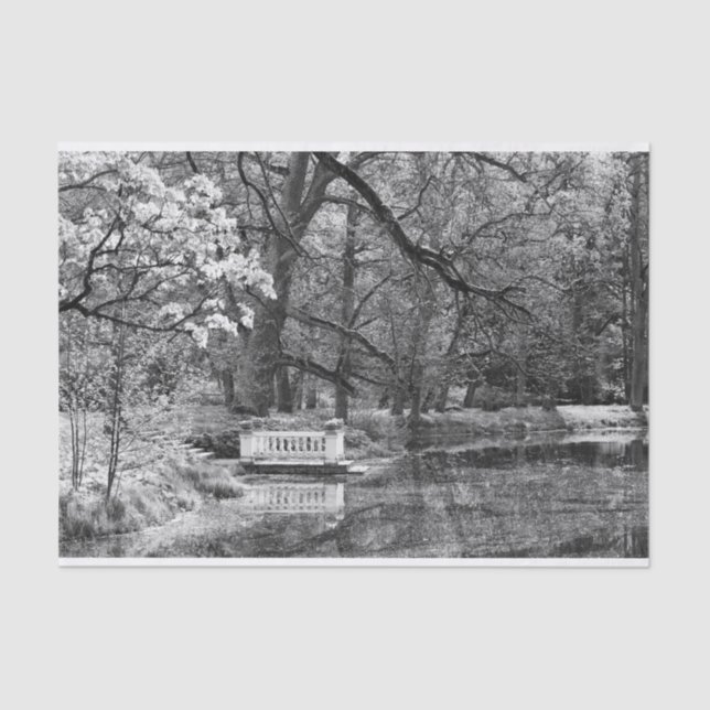 Papel De Seda Lago Romático (Frente )