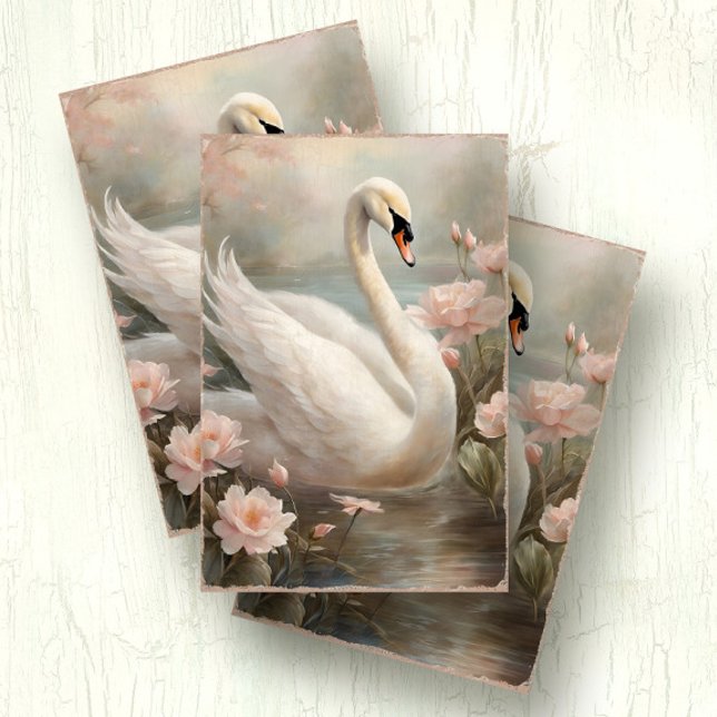 Papel De Seda Lago Swan Floral w Água Rosa Lily (Criador carregado)