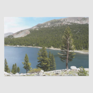 Papel De Seda Lago Tenaya no Parque Nacional de Yosemite