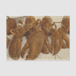 Papel De Seda Lagosta de Textura do Oceano Vintage náutico