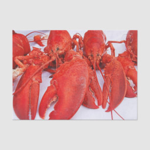 Papel De Seda Lagosta Vermelha Náutica Oceânica