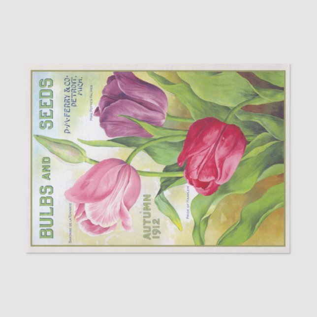 Papel De Seda Lâmpadas e Sementes de 1912 Tulipas (Frente )