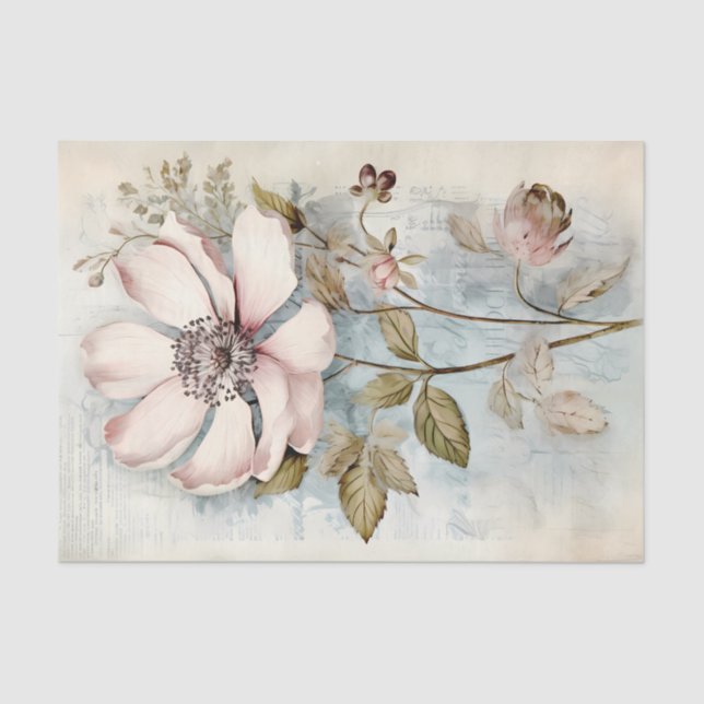 Papel De Seda Large Slightly Abstract Pale Pink Long Stem Peony (Frente )