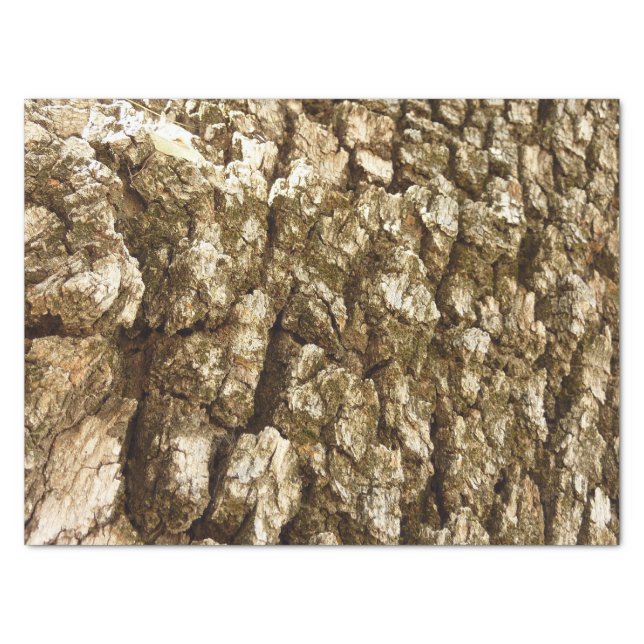 Papel De Seda Latido de Árvore II Textura natural Design (Frente)
