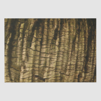 Papel De Seda Latido Palm Tree