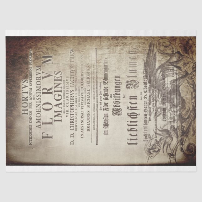 Papel De Seda Latin scrollwork (Frente )