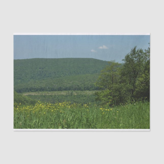 Papel De Seda Laurel Highlands Pennsylvania Summer Photoics (Frente )