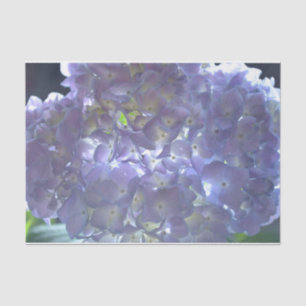 Papel De Seda Lavanda