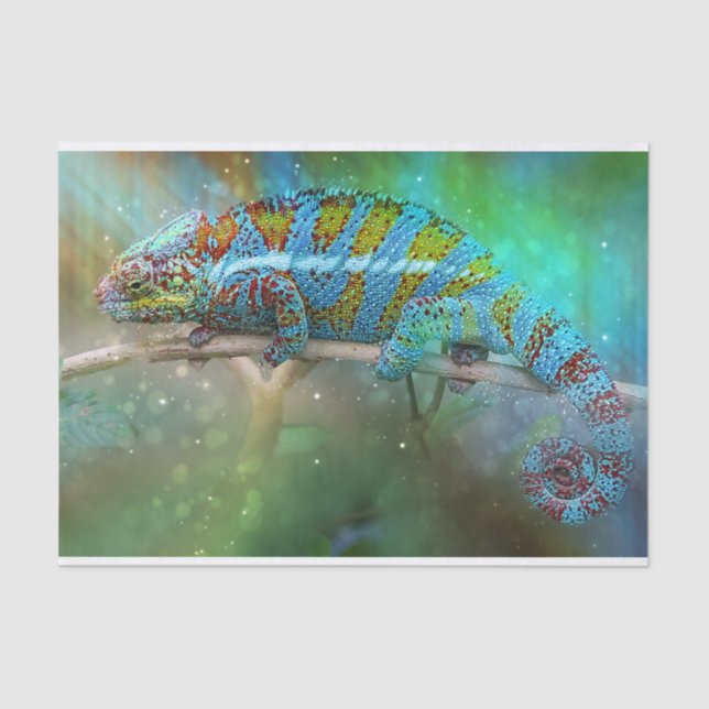 Papel De Seda lenço de camuflagem (Frente )