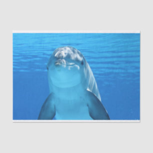 Papel De Seda lenço de golfinho oceânico