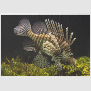 Papel De Seda lenço de lionpeixe aquário