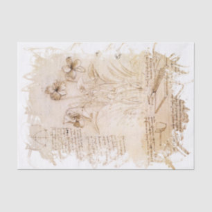 Papel De Seda Leonardo da Vinci inspirado
