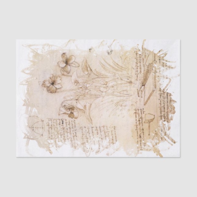 Papel De Seda Leonardo da Vinci inspirado (Frente )