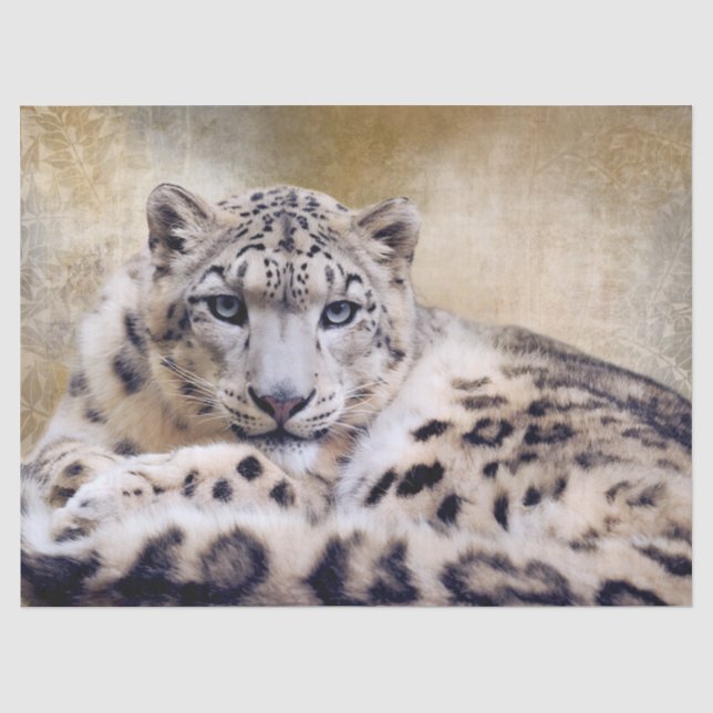 Papel De Seda Leopardo-da-neve Deitado (Frente )