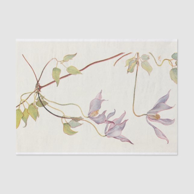 Papel De Seda Lilac Clematis de Margaret Armstrong (Frente )