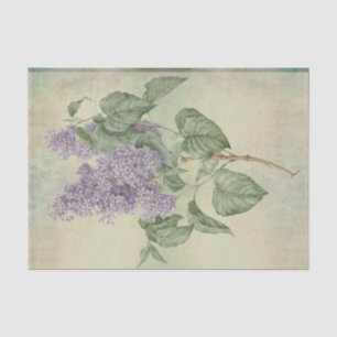 Papel De Seda Lilac - Síringa Vulgaris, Roxo Botânico Vintage