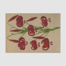 Lilium Chalcedonicum por Arentina Hendrica Arendse