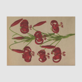 Papel De Seda Lilium Chalcedonicum por Arentina Hendrica Arendse