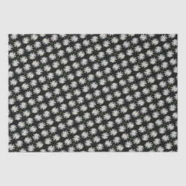 Papel De Seda Lily branca com fundo preto - Floral