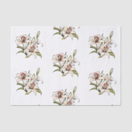 Papel De Seda Lily Do Vale. Boca laranja-alastrante