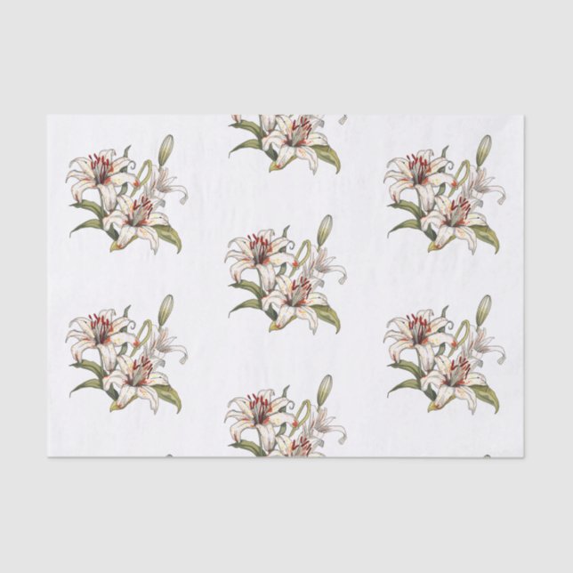 Papel De Seda Lily Do Vale. Boca laranja-alastrante (Frente )