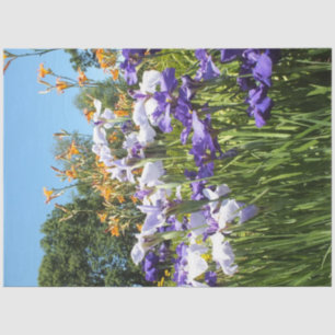 Papel De Seda Lily e Iris Garden Poster