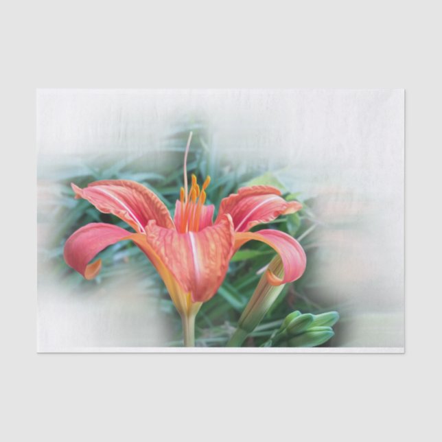 Papel De Seda lily laranja (Frente )