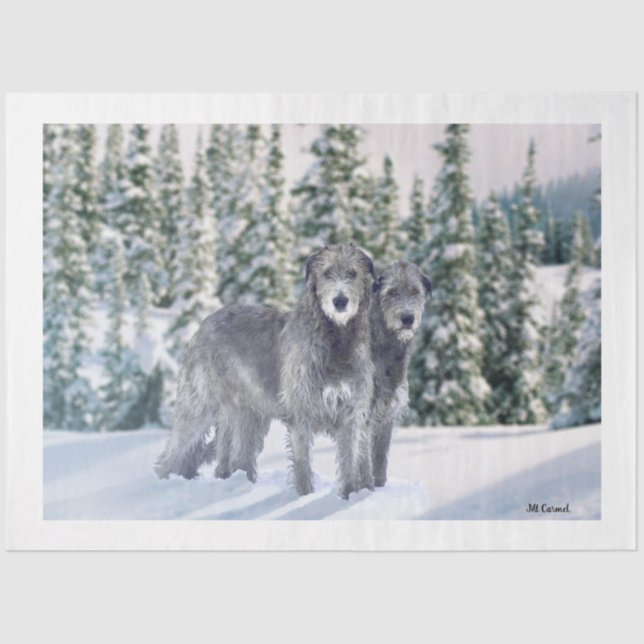 Papel De Seda Linda cena de Snowy Irish Wolfhound (Frente )