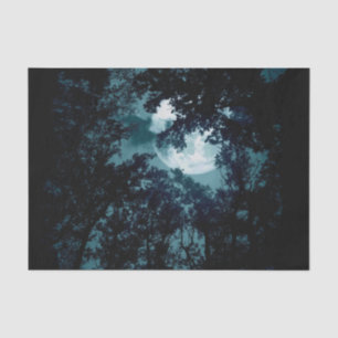 Papel De Seda Linda Lua brilha pelas árvores