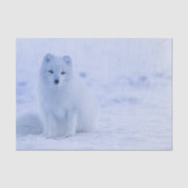 Papel De Seda Linda Raposa Ártica