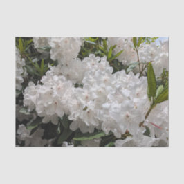 Papel De Seda Linda Rhododendron Blooms Floral