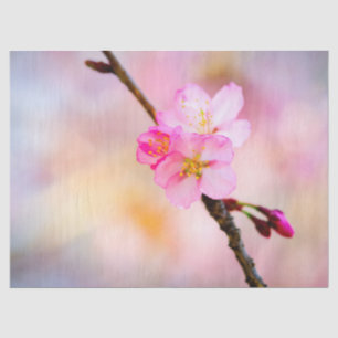 Papel De Seda Linda Sakura Cherry Blossoms
