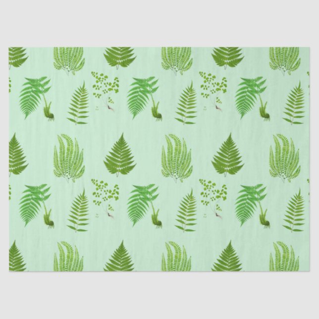 Papel De Seda Lindas pinturas de samambaias (Frente )