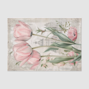 Papel De Seda Lindas Tulipas de Amsterdã