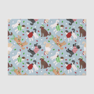 Papel De Seda Livro de Goldendoodle Labradoodle