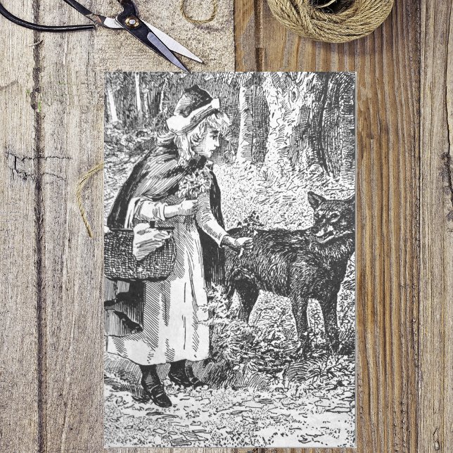 Papel De Seda Lobo de Capuchos Vermelho Desenho Preto Elegante (Vintage black white Little red riding hood in woods with wolf on tissue paper.)