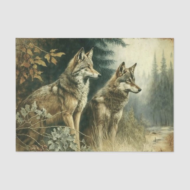 Papel De Seda Lobos prateados (Frente )