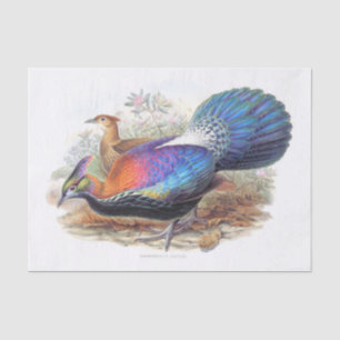 Papel De Seda Lophophorus L'Huysi, Nature Wildlife Decoupage