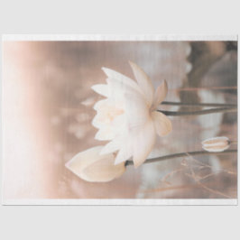 Papel De Seda Lótus Branco, Rosa, Grama das Pampas, lago enevoad