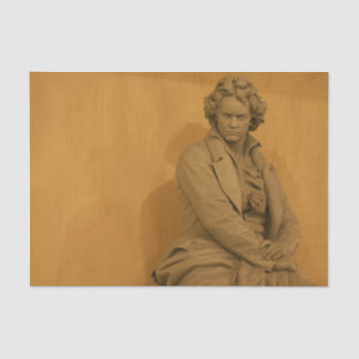 Papel De Seda Ludwig Van Beethoven