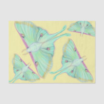 Luna Moth em amarelo