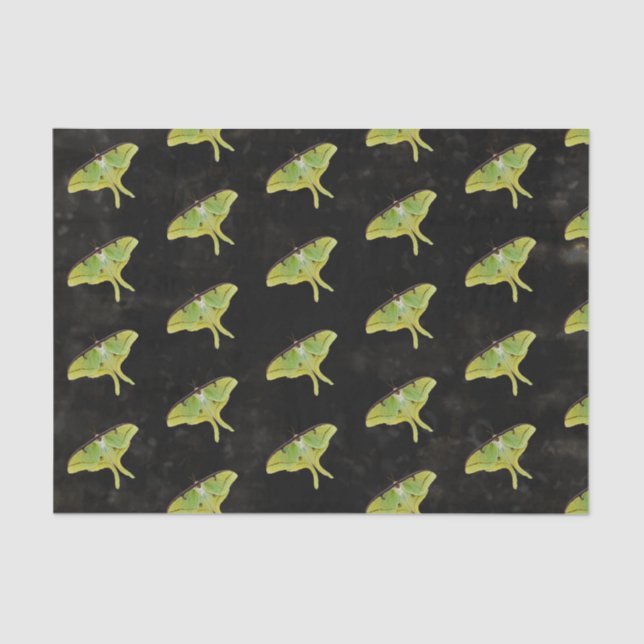 Papel De Seda Luna Moth Trabalho de arte em cor vibrante (Frente )