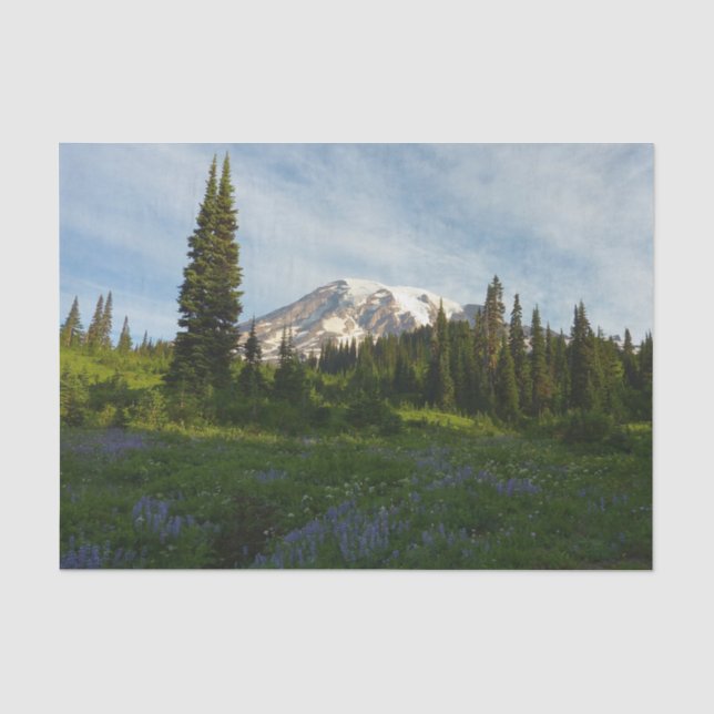 Papel De Seda Luz da Manhã no Monte Rainier (Frente )