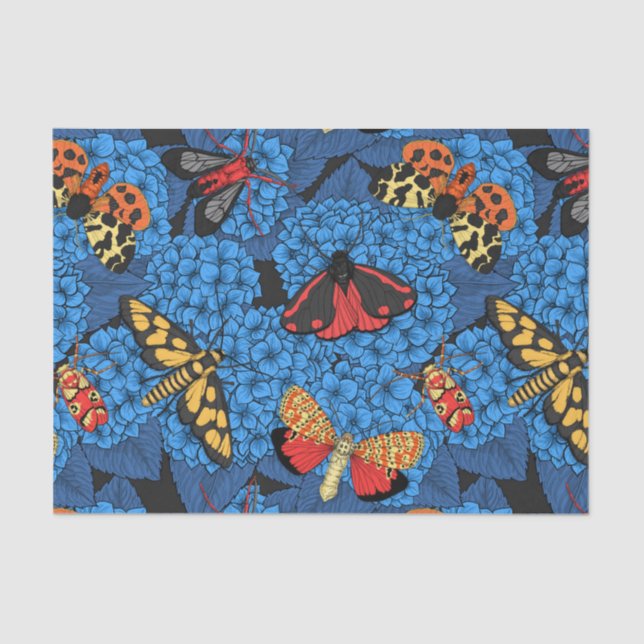 Papel De Seda Luzes sobre hidrangea azul (Frente )