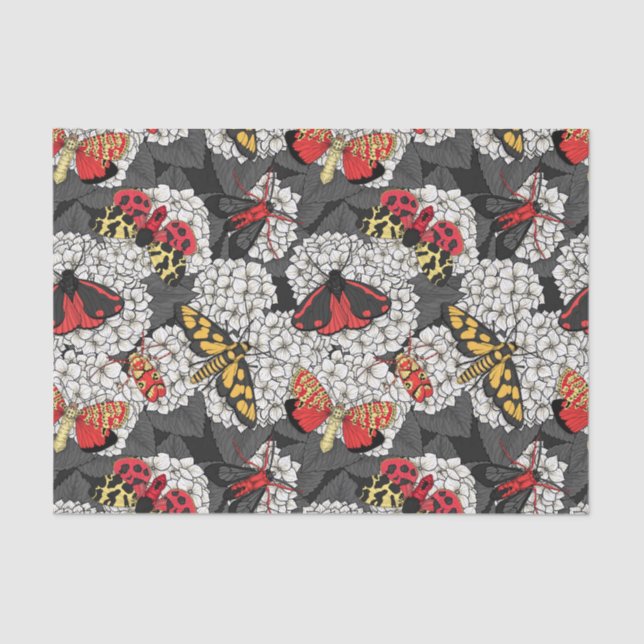 Papel De Seda Luzes sobre hidrangea branca (Frente )