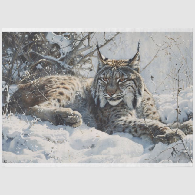 Papel De Seda Lynx na página de nuvem de neve (Frente )