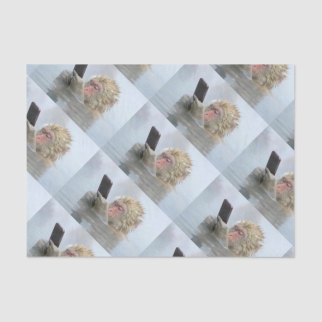 Papel De Seda macaco em uma tela (Frente )