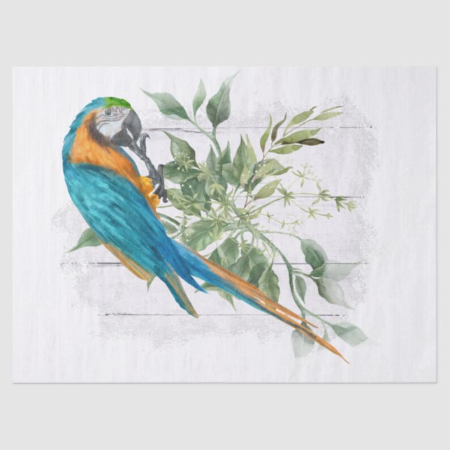 Papel De Seda Macaw Papagaio Azul Laranja Eucalyptus Watercolor (Frente )